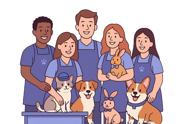 Our Team