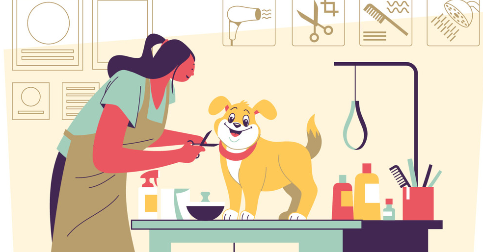 Pet Grooming